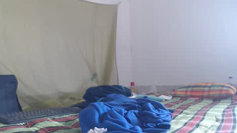 horhoar online show from November 27, 6:37 am