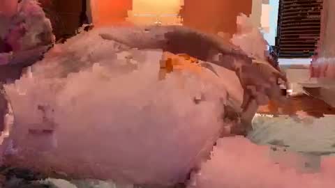 horndawglove online show from January 6, 7:56 pm