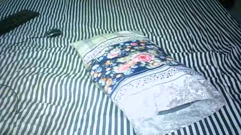 AMANI online show from January 15, 8:09 am