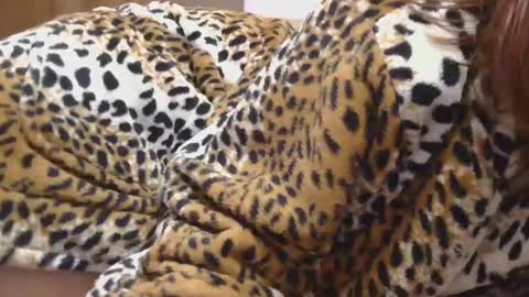 Snapshot of horny_hey chatting on February 22, 10:20 pm Serena online show from February 22, 10:20 pm