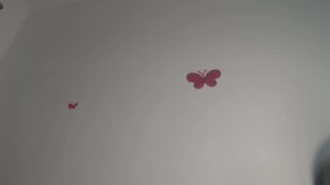 Iris online show from December 4, 8:28 pm