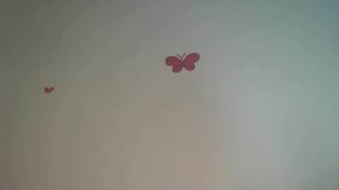 Iris online show from April 4, 8:28 pm