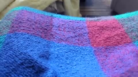 Snapshot of hornyallthetime6969696969 chatting on January 11, 10:26 pm Tiny cock online show from January 11, 10:26 pm