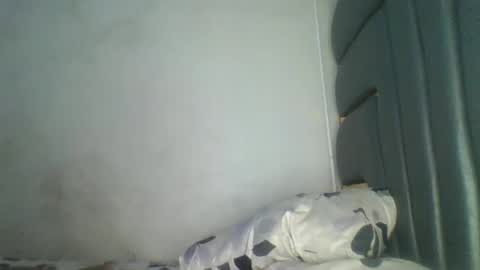 Snapshot of hornybella84 chatting on May 3, 6:52 am Bella online show from May 3, 6:52 am