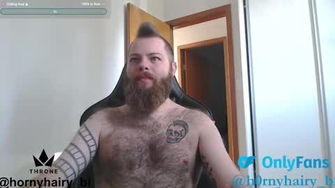 Snapshot of hornyhairy_bi chatting on April 16, 11:44 am Harry online show from April 16, 11:44 am