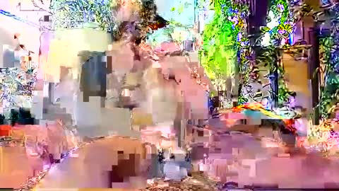 hornyhotgy27 online show from December 6, 9:46 pm