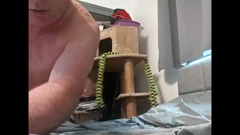 Snapshot of hornyman6942842 chatting on December 13, 8:04 pm hornyman6942842 online show from December 13, 8:04 pm