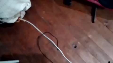 hornypaul84 online show from November 5, 7:47 pm