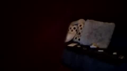 hornypaul84 online show from January 7, 1:19 am