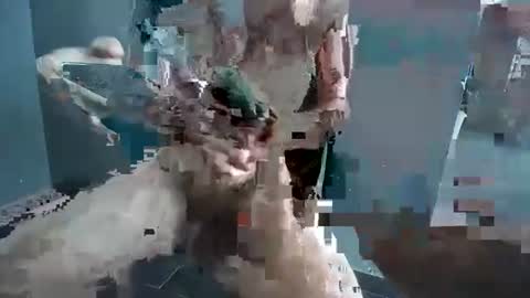 Snapshot of hornyrippa chatting on December 22, 1:23 am Hornyrippa online show from December 22, 1:23 am