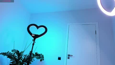Snapshot of hornyyorck chatting on May 28, 4:21 am Robert online show from May 28, 4:21 am