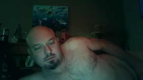 Snapshot of horsenamedcharlie chatting on December 8, 2:19 pm Charles online show from December 8, 2:19 pm