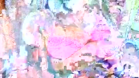 hot_baby_priya online show from October 12, 4:50 pm