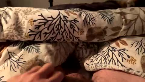 hot_for_you_ online show from October 18, 12:57 am