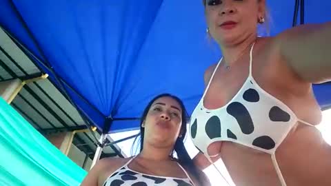 kittens online show from April 16, 9:39 pm