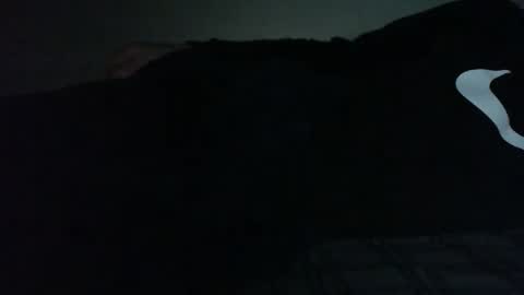 Bitch for abuse online show from February 15, 9:33 pm