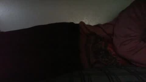 Bitch for abuse online show from April 16, 6:41 pm