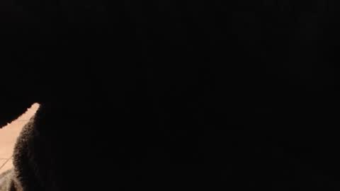 hotboxbbyz online show from December 22, 10:18 pm