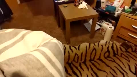 Snapshot of hotboy69735953 chatting on March 15, 9:10 pm hotboy69735953 online show from March 15, 9:10 pm