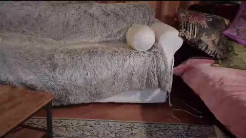 Betty boob online show from October 31, 8:21 pm