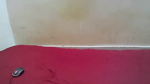 Snapshot of hotpussy1225 chatting on November 10, 8:13 am hotpussy1225 online show from November 10, 8:13 am