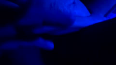 Snapshot of hotsexy6985 chatting on May 24, 6:29 am hotsexy6985 online show from May 24, 6:29 am