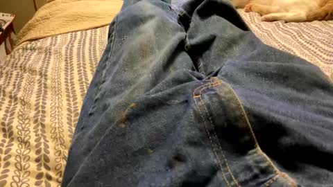 Snapshot of huckleberry22222 chatting on September 14, 2:38 pm huckleberry22222 online show from September 14, 2:38 pm