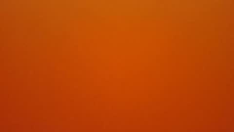 hundeleine online show from February 16, 10:44 am