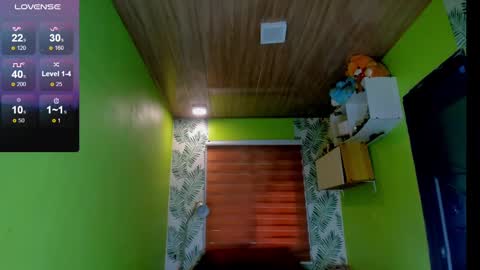 Snapshot of hungasiangirl chatting on December 2, 3:04 am help me make 25000 tokens for my mother HEARING aid online show from December 2, 3:04 am