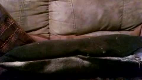 Snapshot of hungc2c420 chatting on March 3, 5:41 pm hung420boner online show from March 3, 5:41 pm