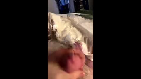 hungminer69 online show from May 28, 11:24 pm