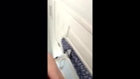 huskey300 online show from January 9, 4:32 pm