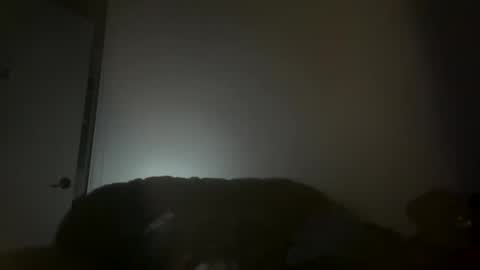 Snapshot of hustlemacc chatting on November 16, 2:11 pm hustlemacc online show from November 16, 2:11 pm