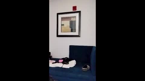 hydrakinglaser online show from February 5, 2:05 am