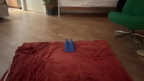 Olive online show from October 19, 5:41 am