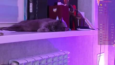 Snapshot of i_see_aysi chatting on March 6, 3:08 pm Aysi online show from March 6, 3:08 pm