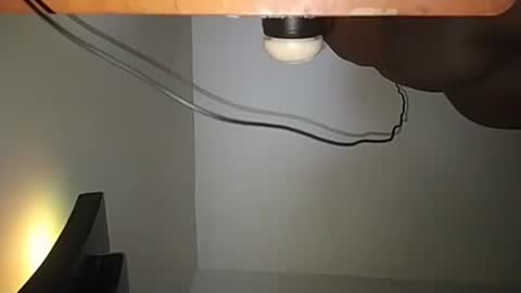 Andres online show from November 23, 8:03 am