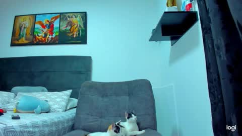 iam_your_fantasy online show from February 1, 9:13 pm