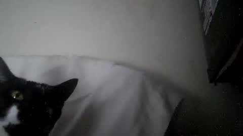 iamryan995442 online show from April 7, 5:35 pm