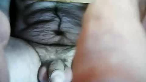 Pat online show from October 30, 11:00 am