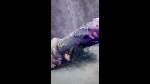 ibhcgvuspcrb online show from March 4, 8:04 pm