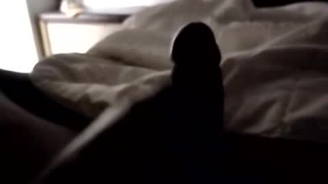 ihktqjtwzczh online show from April 7, 9:43 am