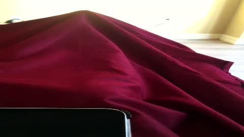 Ninochen online show from June 15, 11:01 am
