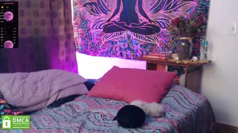 Cutie pie online show from December 21, 10:19 pm