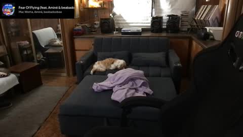 Carter online show from March 11, 5:35 am