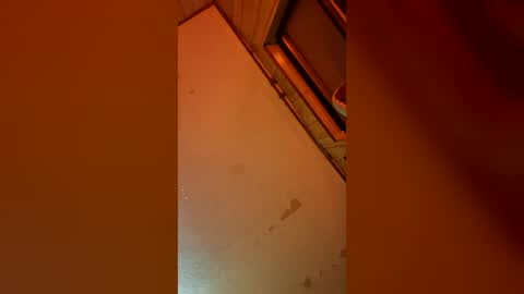indegeniouscreature online show from July 3, 7:26 am