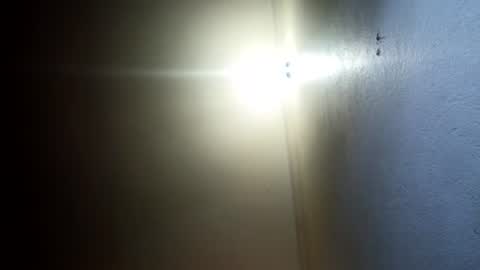 Snapshot of indian_succubus chatting on July 19, 8:01 pm Perky baby online show from July 19, 8:01 pm