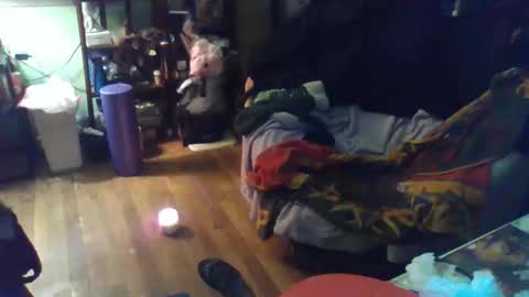 Snapshot of indigo_scorpio chatting on February 11, 12:04 am indigo_scorpio online show from February 11, 12:04 am