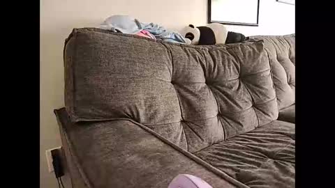 Indigo Star online show from February 14, 8:48 pm