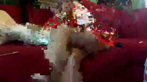 INMIRREY online show from May 8, 8:41 am